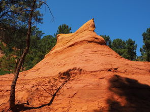 一日英超动态阿莫林自信发声转会话题升温，阿莫子林